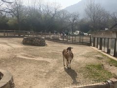 -西安秦岭野生动物园