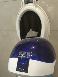 -碧莲盛·不剃发植发