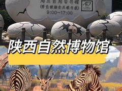 -陕西自然博物馆