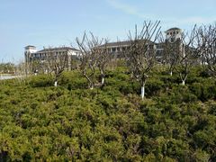 教学楼-上海海洋大学(临港校区)
