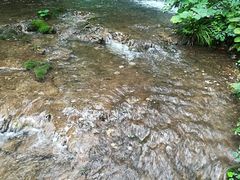 -洛阳白云山景区