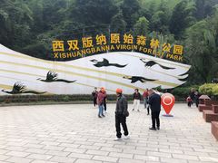 -西双版纳原始森林公园