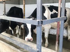-洪湖家庭农场·团建·露营·会议