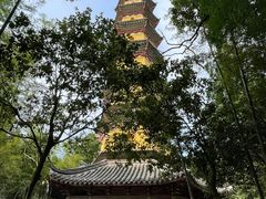-阿育王寺