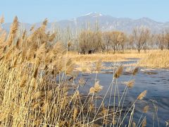 -野鸭湖国家湿地公园
