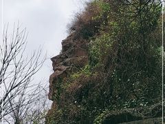 -上海佘山国家森林公园天马山园