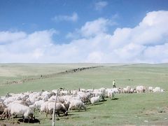 -青海湖国家重点风景名胜区
