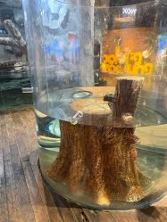 -Zoolung Zoolung动物主题公园(海信广场店)