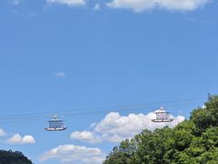 -栾川竹海野生动物园