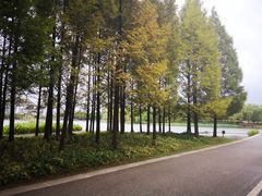 -尚贤河湿地