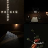 深圳高格调创意西餐｜VO