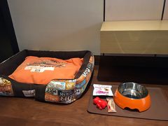 -上海崇明金茂凯悦酒店