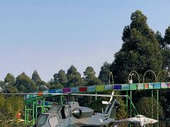 -空港花田景区