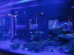 -上和臻品中国菜(花园街店)