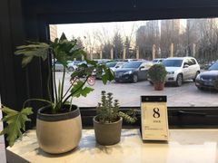 -隹木咖啡馆(宝龙广场店)