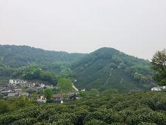 -龙井村