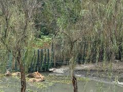 -溱湖国家湿地公园