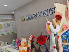 -瑞鹏宠物医院·超声·骨科·奇麟分院(蜀都万达店)