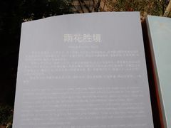 -雨花胜境