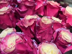 -ROSEONLY诺誓(广州K11店)