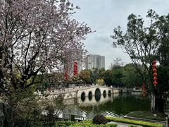 -荔湾湖公园