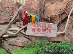-乐和乐都主题乐园