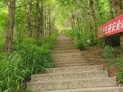 -东白山