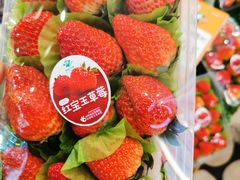 -百果园PAGODA(应元路店)