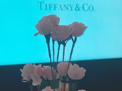 -Tiffany & Co.蒂芙尼
(南京德基广场店)