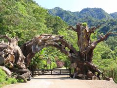 -龙湾潭国家森林公园