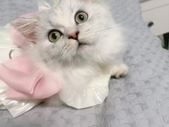 -美美宠物诊疗中心·异宠·骨科(滨江东信分院)