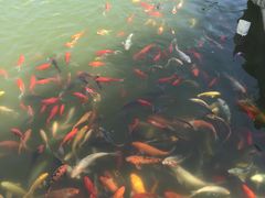 IMG_2153-中国唐苑