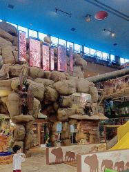 点击看大图 -卡通尼·Safari非洲探索乐园·生日会(金桥国际商业广场店)