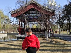 -西海子公园