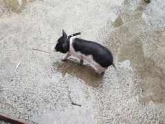 -前小桔亲子创意农场·草莓采摘·露营烧烤