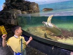 -江和美海洋公园