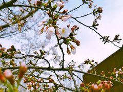 -龙美术馆(西岸馆)