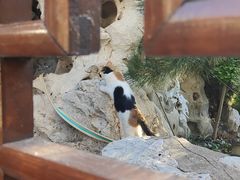 -李叔同故居纪念馆