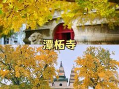 -沉浸北京·团建旅行·密室剧本杀·年会会议轰趴拓展