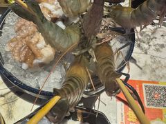-琥珀川糟粕醋火锅(慈云寺店)