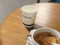 -梵猫·新养生(湛江鼎盛店)
