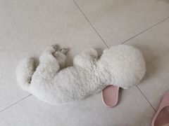 -美联众合24小时·皮肤科·外科·全科诊疗中心(华苑分院)