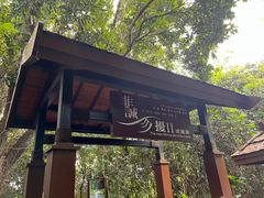 -亚龙湾热带天堂森林公园