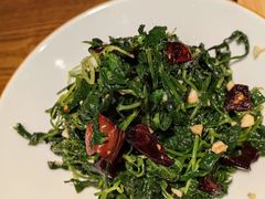 -鸽子窝(黄村店)