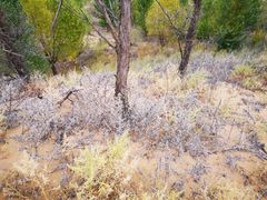 -亿利库布其七星湖沙漠生态旅游区