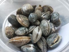 -渔人湾码头海鲜市场负二楼