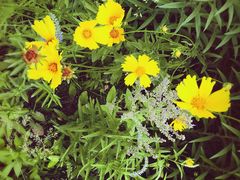 -北京宽沟会议中心