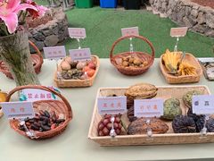 -呀路古热带植物园