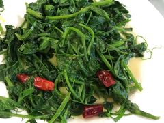 -老成渝川菜馆(麦溪路店)