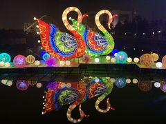 -青岛方特梦幻王国